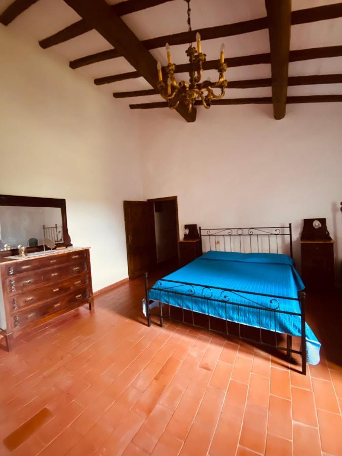 “sterrati” * Valpiana (Grosseto)