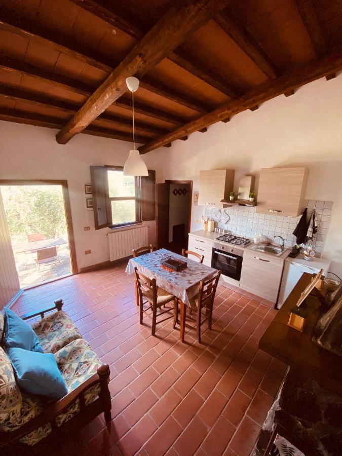 “sterrati” Farm stay Valpiana (Grosseto)