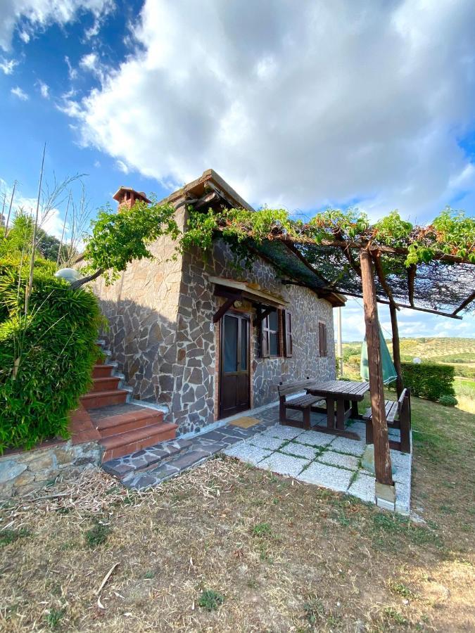 “sterrati” Valpiana (Grosseto)