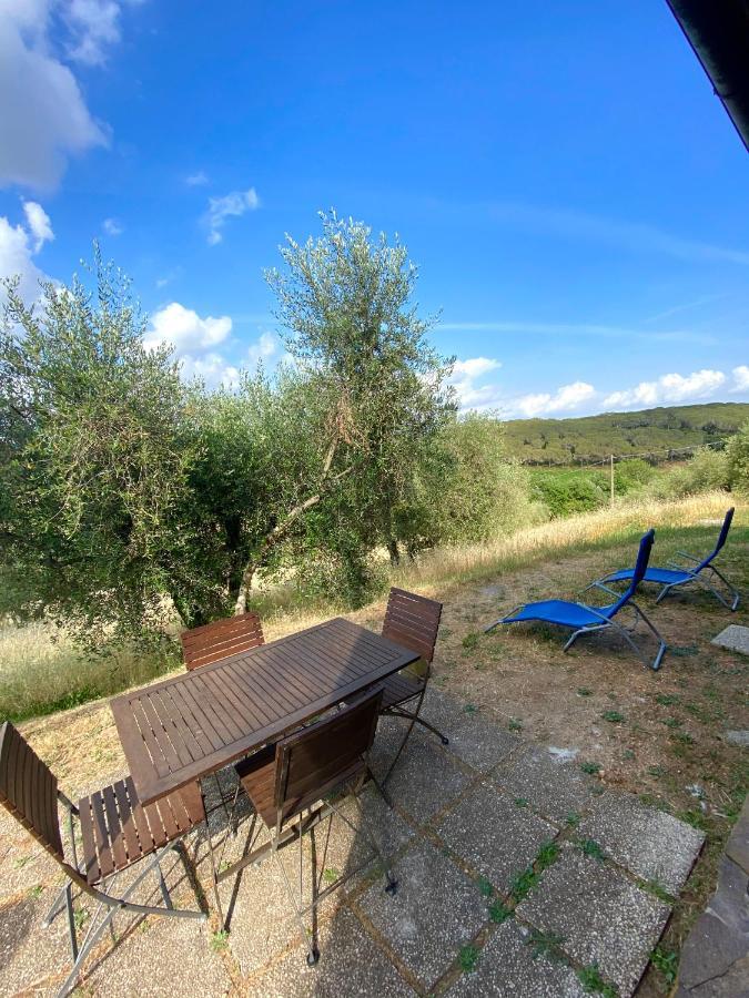 “sterrati” Farm stay Valpiana (Grosseto)