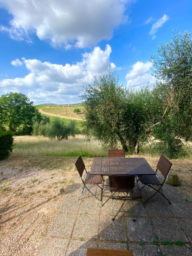 “sterrati” Farm stay Valpiana (Grosseto)
